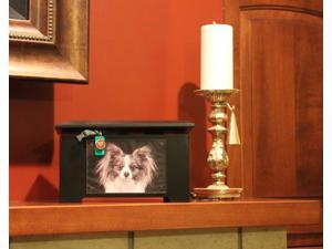 Dynamic Accents 42184 Ebony Pet Urn-Memory Box 125Cubic Inches Dynamic Accents 42184 Ebony Pet Urn-Memory Box 125Cubic Inches