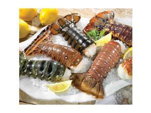 Lobster Gram CCTS1 Continental Collection Tail Sampler- 1 of each Tail Lobster Gram CCTS1 Continental Collection Tail Sampler- 1 of each Tail
