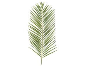 Autograph Foliages PR-2682 46 in. Areca Palm Branch, Tutone Green Autograph Foliages PR-2682 46 in. Areca Palm Branch, Tutone Green