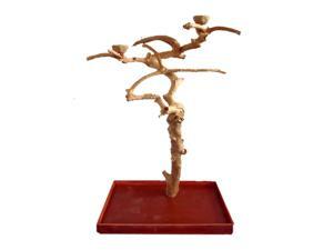 A&E Cage Pet Birds Medium Java Wood Tree Box- 40"x32"x61" A&E Cage Pet Birds Medium Java Wood Tree Box- 40"x32"x61"