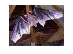 5' Posable Bat 5' Posable Bat