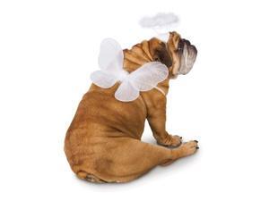 Zelda Angel Pet Costume Zelda Angel Pet Costume