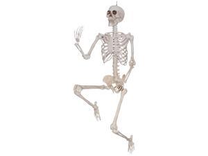 Lifesize Pose and Hold Skeleton Lifesize Pose and Hold Skeleton