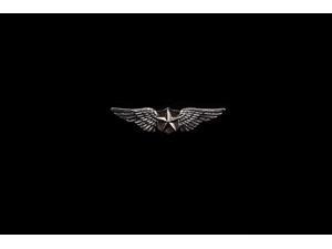 Novelty Pilot Wings Adult Costume Pin Novelty Pilot Wings Adult Costume Pin