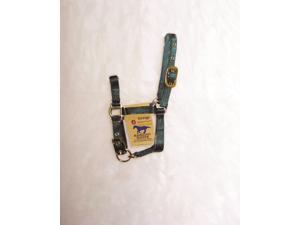 Hamilton Halter Company 3DAM AVDG Adjustable Miniature Horse Halter Hamilton Halter Company 3DAM AVDG Adjustable Miniature Horse Halter