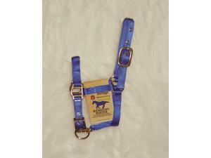 Hamilton Halter Company 3DAM AVBL Adjustable Miniature Horse Halter Hamilton Halter Company 3DAM AVBL Adjustable Miniature Horse Halter
