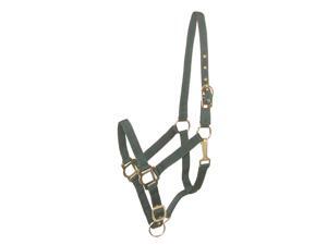 Gatsby Leather Company 401086-2230-3670 Nylon Halter Gatsby Leather Company 401086-2230-3670 Nylon Halter