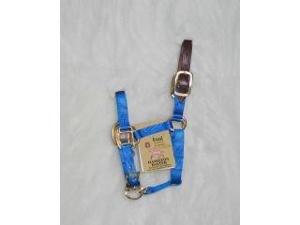 Hamilton Halter 3DLA FLBL Adjustable Halter With Leather Headpole Hamilton Halter 3DLA FLBL Adjustable Halter With Leather Headpole