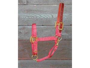 Hamilton Halter 1DALSS AVRD Adjustable Halter With Leather Headpole Hamilton Halter 1DALSS AVRD Adjustable Halter With Leather Headpole
