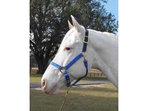 Hamilton Halter 1DALSS AVBL Adjustable Halter With Leather Headpole Hamilton Halter 1DALSS AVBL Adjustable Halter With Leather Headpole