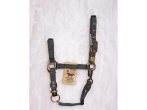 Hamilton Halter 1DAS AVDG Adjustable Chin Halter With Snap Hamilton Halter 1DAS AVDG Adjustable Chin Halter With Snap
