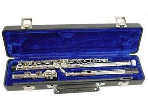 Hisonic Signature Series 2810N School Band Student Nickel-plated Closed 16 hole Flute Hisonic Signature Series 2810N School Band Student Nickel-plated Closed 16 hole Flute