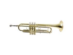 Hisonic Signature Series 2110L Bb Trumpet with Case, Brass Finish Hisonic Signature Series 2110L Bb Trumpet with Case, Brass Finish