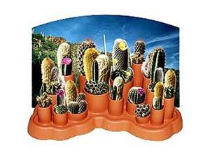 Odd Pods - Wild West Cactus Round Up Odd Pods - Wild West Cactus Round Up