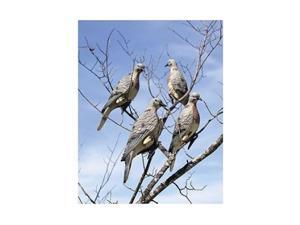 Lucky Duck 6 Pack Dove - 13816NFLQUJG Lucky Duck 6 Pack Dove - 13816NFLQUJG