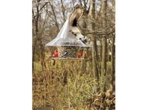 Arundale Mandarin SkyCafe Feeder Arundale Mandarin SkyCafe Feeder