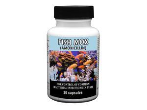 Fish Mox 250mg Capsules 30ct Fish Mox 250mg Capsules 30ct