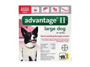 Advantage II for Dogs 21-55 lbs 4pk Advantage II for Dogs 21-55 lbs 4pk