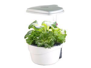 Ecopro HP-2015L LED Indoor Hydroponics Garden Kit 5 Pods with Smart Control System Ecopro HP-2015L LED Indoor Hydroponics Garden Kit 5 Pods with Smart Control System