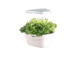 Ecopro HP-2025L LED Indoor Hydroponics Garden Kit 8 Pods with Smart Control System Ecopro HP-2025L LED Indoor Hydroponics Garden Kit 8 Pods with Smart Control System