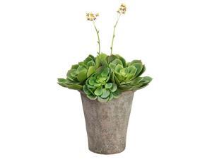 22" Artificial Spring Flowering Succulent Echeveria in Decorative Clay Pot 22" Artificial Spring Flowering Succulent Echeveria in Decorative Clay Pot
