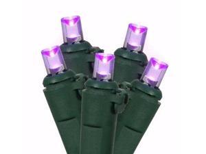 Vickerman 15682 - 100 Light Green Wire Purple LED Wide Angle Miniature Christmas Light String Set (X4G0016) Vickerman 15682 - 100 Light Green Wire Purple LED Wide Angle Miniature Christmas Light String Set (X4G0016)