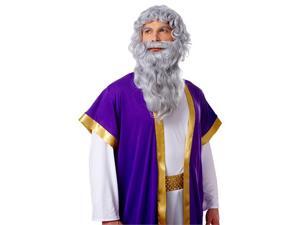 Wig and Beard Set: Biblical Long Grey Wig and Beard Set: Biblical Long Grey