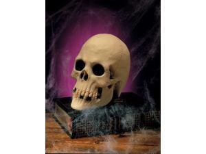 Human Skull Halloween Decoration Prop Human Skull Halloween Decoration Prop
