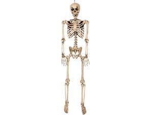 Full-sized Pose and Stay Skeleton Full-sized Pose and Stay Skeleton