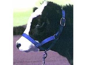 Halter - Cow Halter Turnout Blue Halter - Cow Halter Turnout Blue