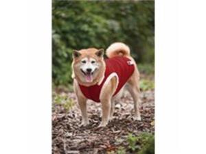 Ribbed Polar Fleece Dog Vest, Color: Red, Size: Small Ribbed Polar Fleece Dog Vest, Color: Red, Size: Small