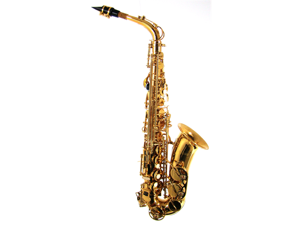 Barrington Model AS206 Alto Saxophone Barrington Model AS206 Alto Saxophone