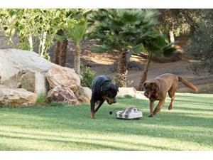 Go-Go Dog Pals Raccoon: Fun, active toy for your dog. Go-Go Dog Pals Raccoon: Fun, active toy for your dog.