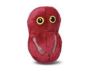 Giant Microbes Flesh Eating (Streptococcus pyogenes) Giant Microbes Flesh Eating (Streptococcus pyogenes)