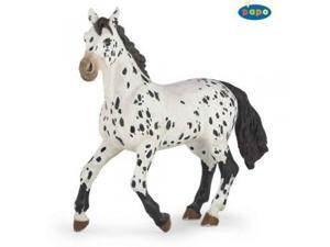 Black Appaloosa Horse Black Appaloosa Horse
