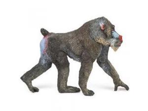 Mandrill Mandrill