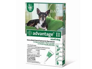 Advantage Flea Control for Dogs, Puppies Under 10Lbs 4 Month Supply - GREEN-10-4 Advantage Flea Control for Dogs, Puppies Under 10Lbs 4 Month Supply - GREEN-10-4