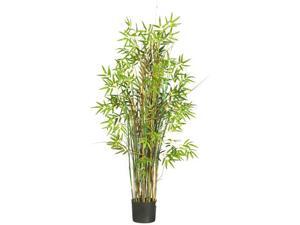 5' Bamboo Grass Silk Plant 5' Bamboo Grass Silk Plant