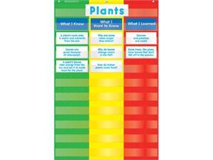 3 COLUMN CHART POCKET CHART 3 COLUMN CHART POCKET CHART