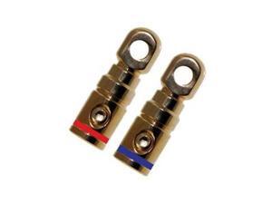 Absolute GRT102-1 Pair 2 Gauge Gold Power Ring Terminal
by Absolute Absolute GRT102-1 Pair 2 Gauge Gold Power Ring Terminal
by Absolute