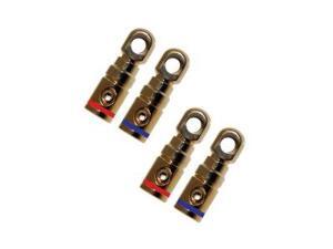 Absolute GRT100-4 2 Pair Gold Power Ring Terminal
by Absolute Absolute GRT100-4 2 Pair Gold Power Ring Terminal
by Absolute