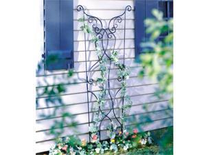 Rococo Trellis Rococo Trellis