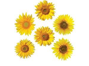 Bulletin Board Accents, Sunflowers Bulletin Board Accents, Sunflowers