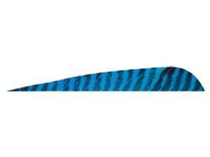 Gateway Feather 5 Rw Blue Barred Feathers Gateway Feather 5 Rw Blue Barred Feathers