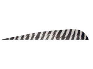 Gateway Feather 5 Rw White Barred Feathers Gateway Feather 5 Rw White Barred Feathers