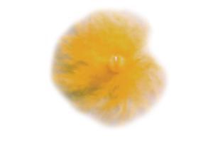 Gateway Feather Yellow Feather Tracer Gateway Feather Yellow Feather Tracer