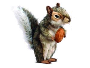 Gray Squirrel 7.87" by Hansa Gray Squirrel 7.87" by Hansa