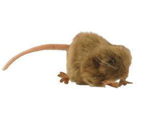 Hansa Brown Mouse Hansa Brown Mouse