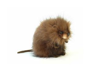 Hansa Muskrat Hansa Muskrat