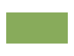 Bazzill Cardstock 12"X12"-Lime Crush/Smoothies Bazzill Cardstock 12"X12"-Lime Crush/Smoothies
